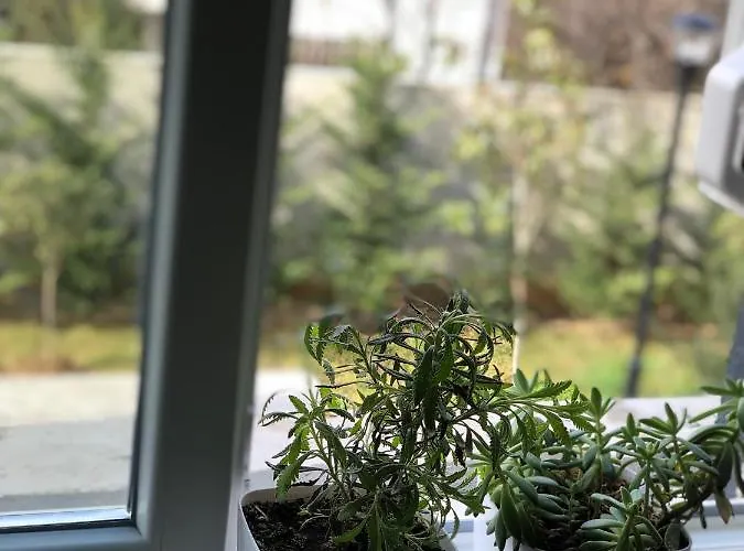 Jon's Duplex Apartment Tirana