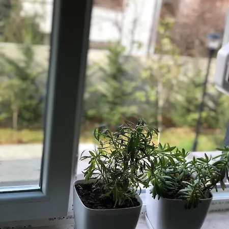 Jon's Duplex Apartman Tirana